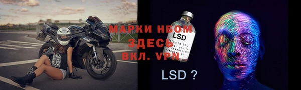 круглые Алзамай