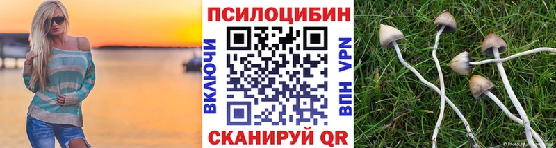 Галлюциногенные грибы Magic Shrooms где можно купить Белоозёрский